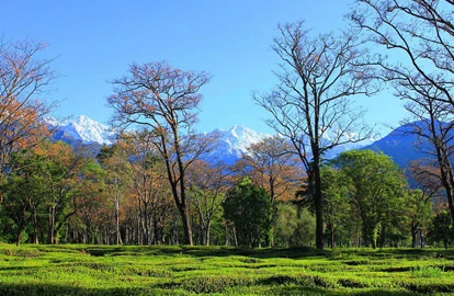 Himachal tour packages